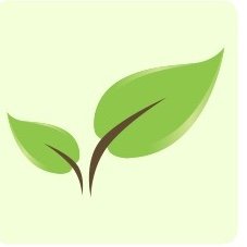 Itapema Ambiental